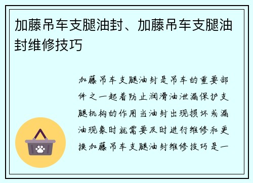 加藤吊车支腿油封、加藤吊车支腿油封维修技巧