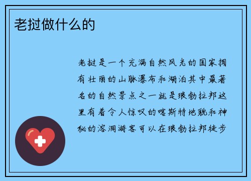 老挝做什么的